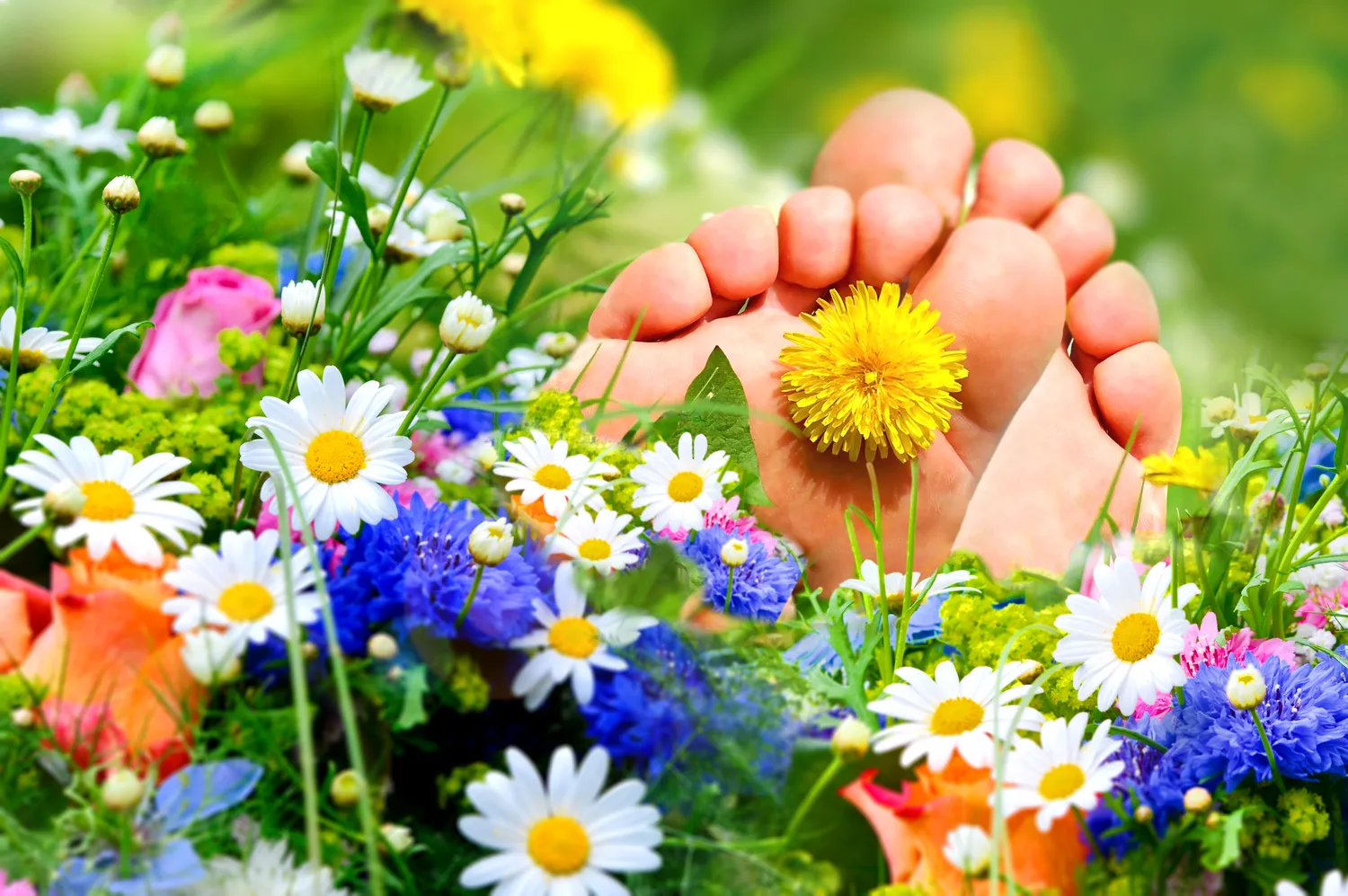 Czym jest podologia i jak można zostać podologiem?