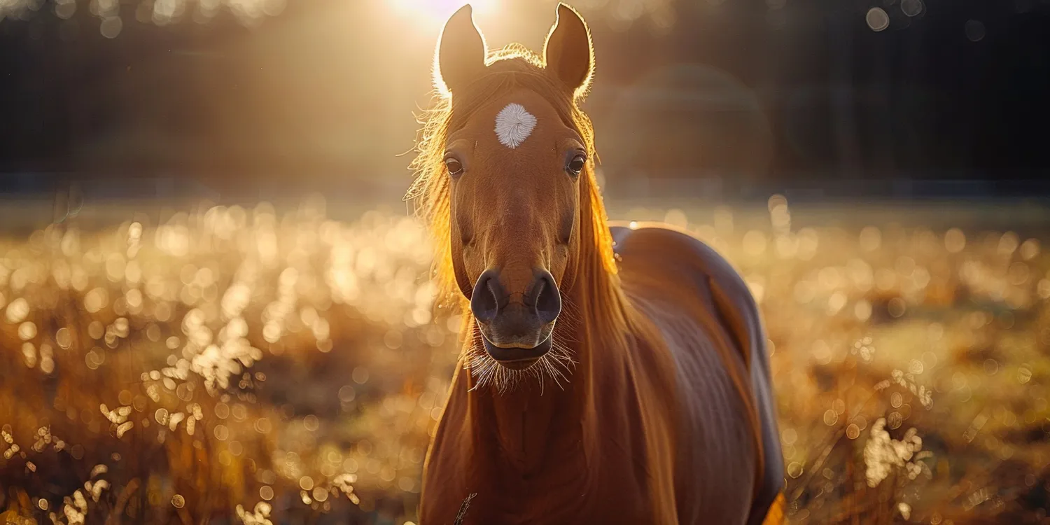 Do kiedy trawa z rolki?